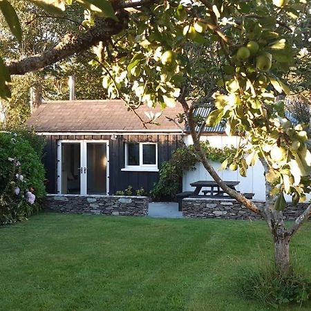 Cosy Cabin Near Lough Hyne Skibbereen Exterior foto